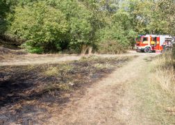 Brand Pennickental Jena 00014